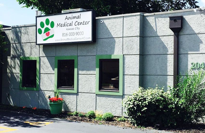 Exterior of Animal Medical Center with a sign, green windows, and potted flowers.