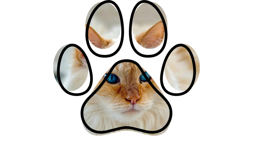 Kansas City vet near me caring for pets