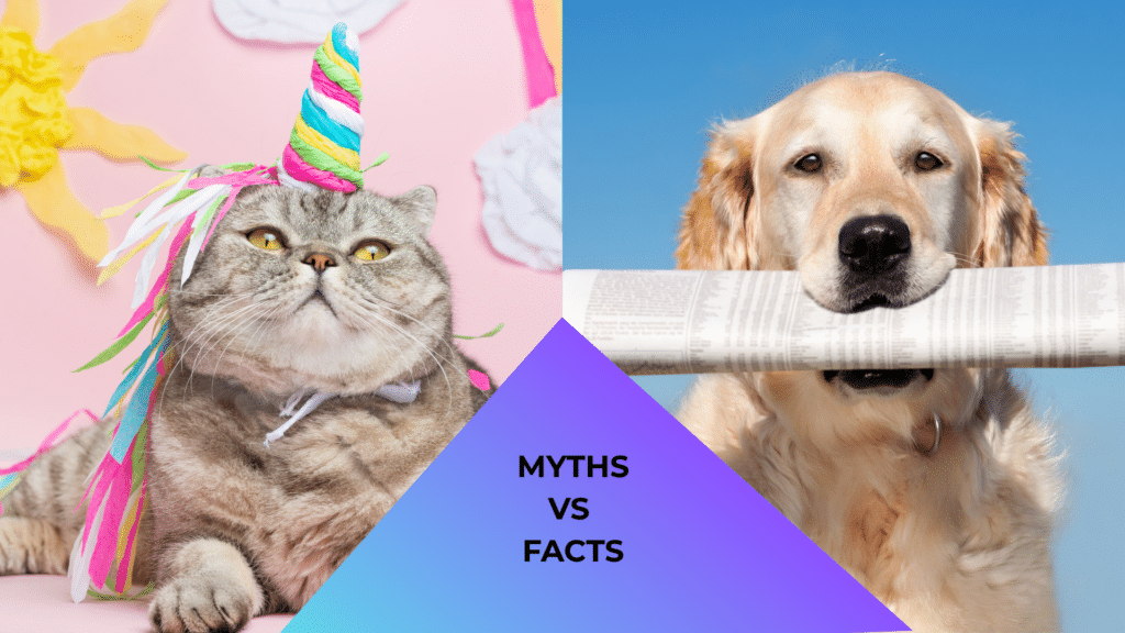 Cat dressed like a unicorn and dog holding a newspaper representing animal care myths versus facts in Kansas City, MO