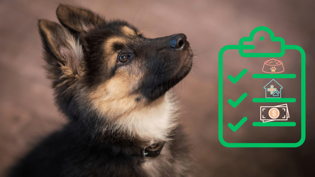 Puppy next to a new pet care checklist for pet owners in Kansas City, MO